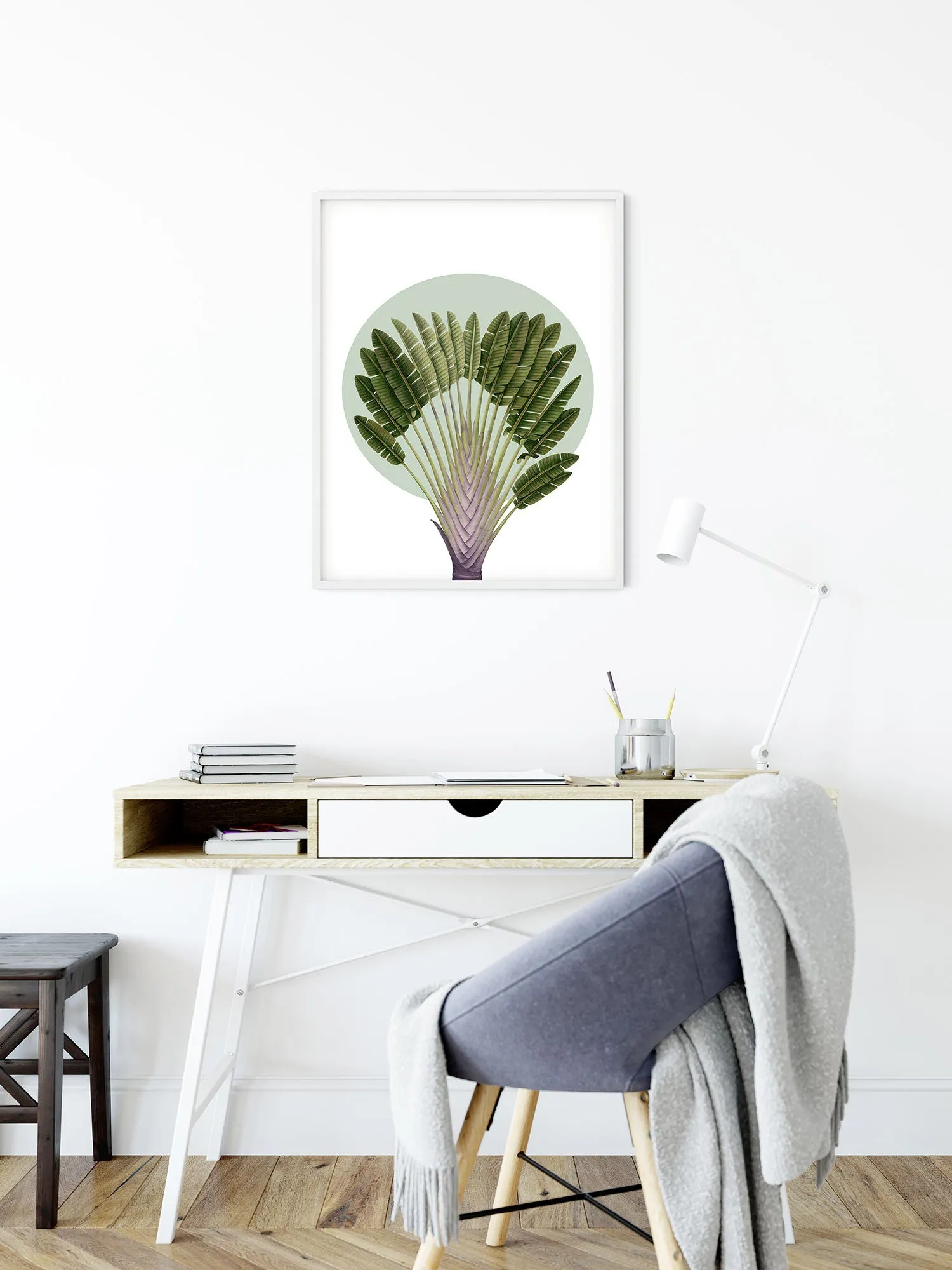 Botanical Garden Pinnate Palm Art Poster