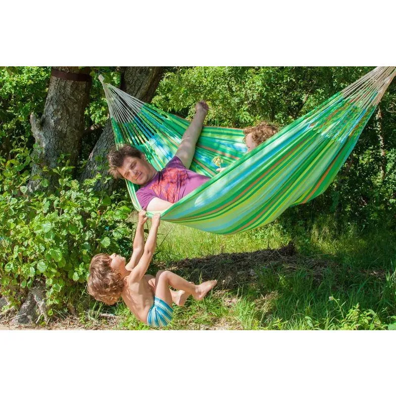 Iguana Hammock - Jungle