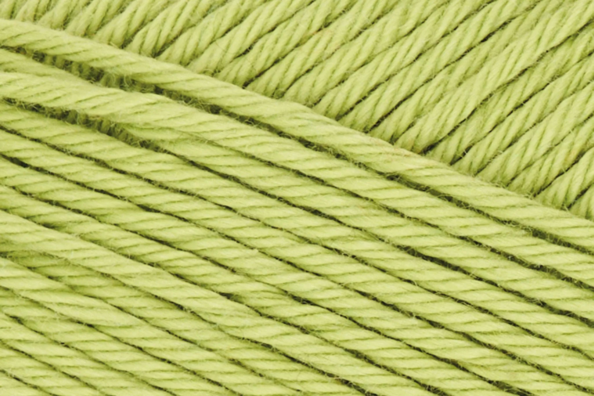 Lime-481