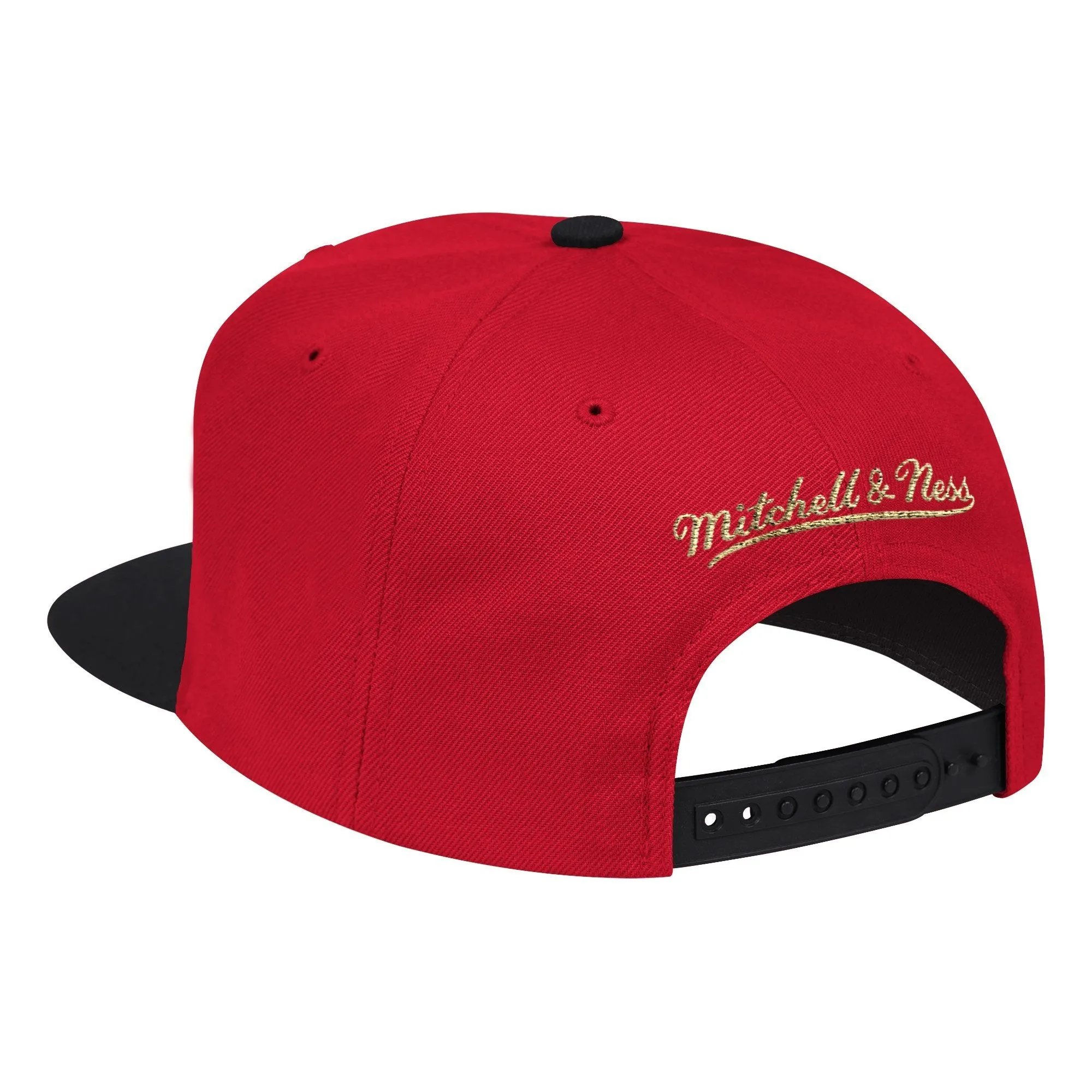 NBA The Champ Snapback Raptors